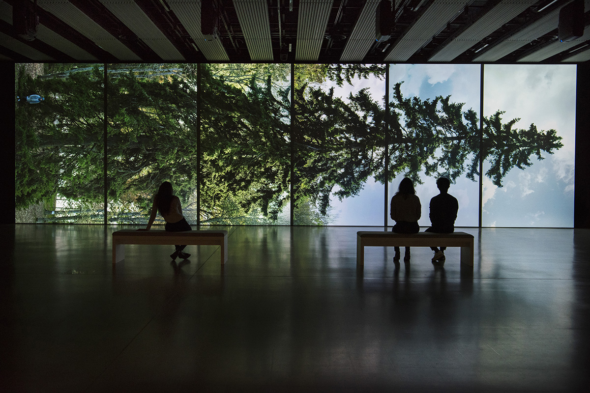 Eija-Liisa Ahtila’s Horizontal - Vaakasuora (2011) © Crystal Eye, Helsinki, 2020, Photo: Linda Nylind (Hayward Gallery)