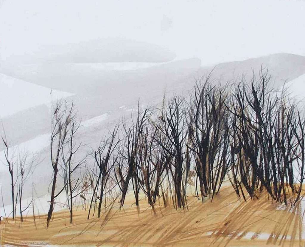 Anna King, 'Sycamore, Queenscairn Hill', oil and pencil on paper and board