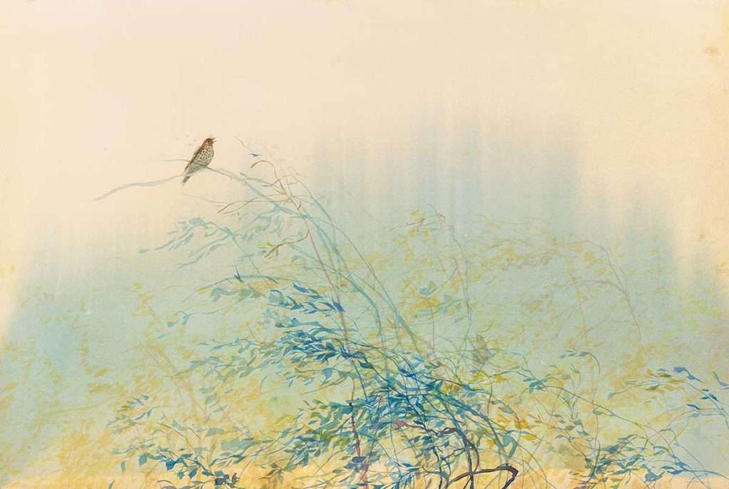 Claire Harkess, 'Morning Song', 2023, watercolour