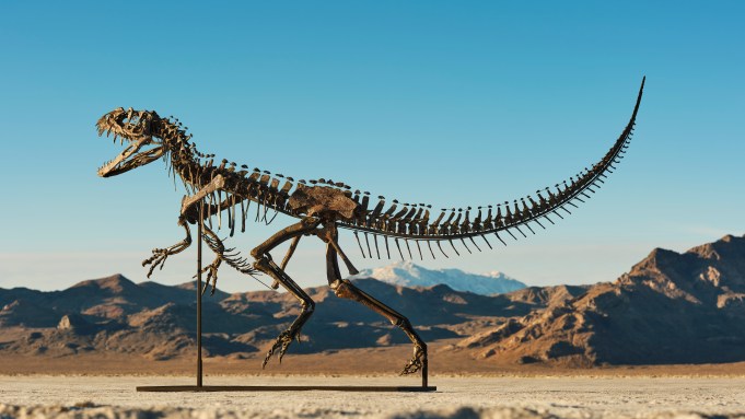 Sotheby’s Sells Ceratosaur Dinosaur Skeleton for $30.5 Million