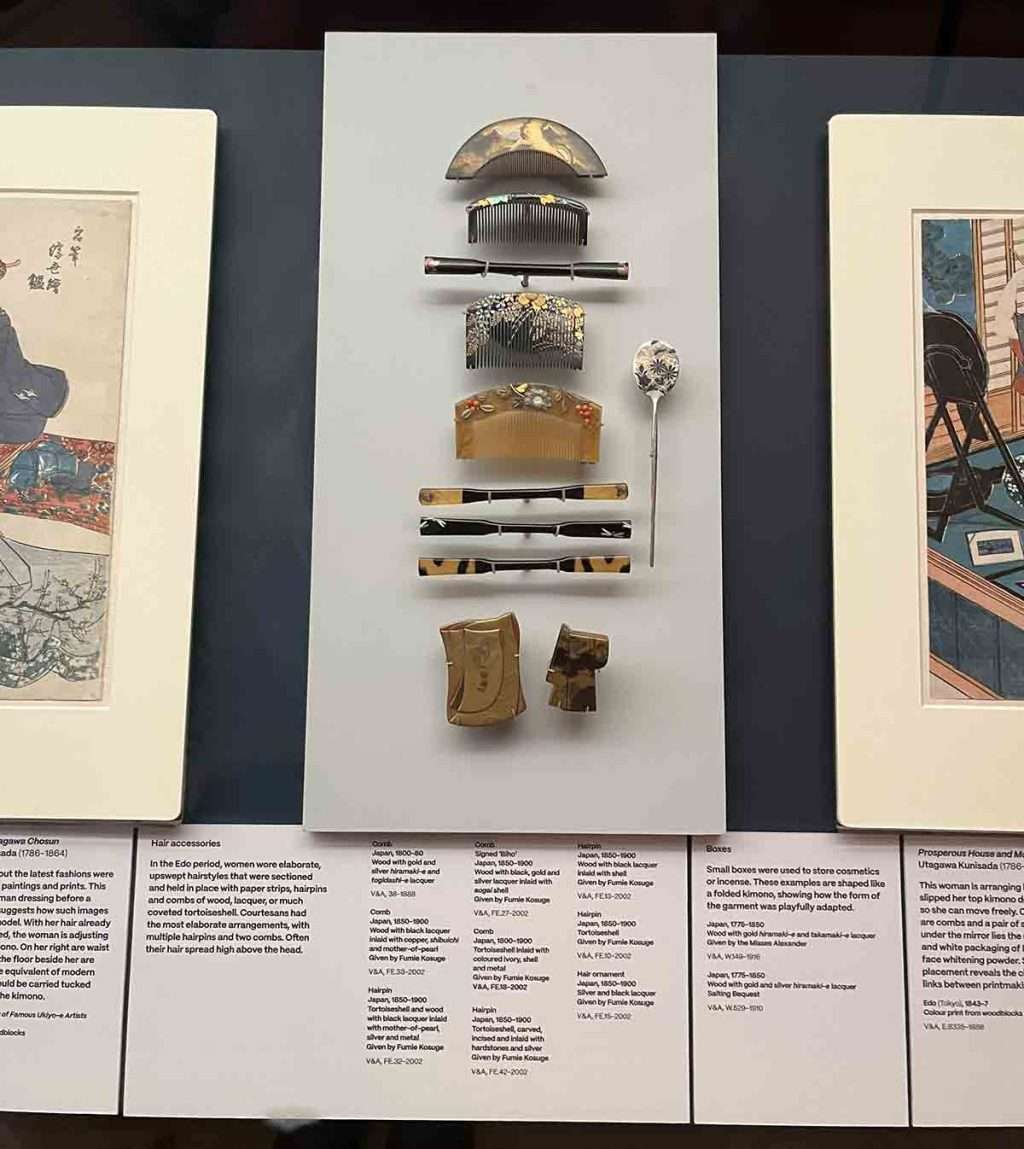 Hair accessories, combs and hairpins, 1800-1900 