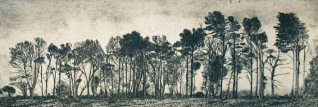 Kistie Behrens, 'Winter Trees', etching